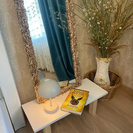 Art House Telecentru Apartment